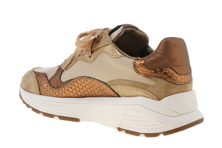 XSENSIBLE Rainbow (33011.3.304) - Schoenen Danneels (Brugge)
