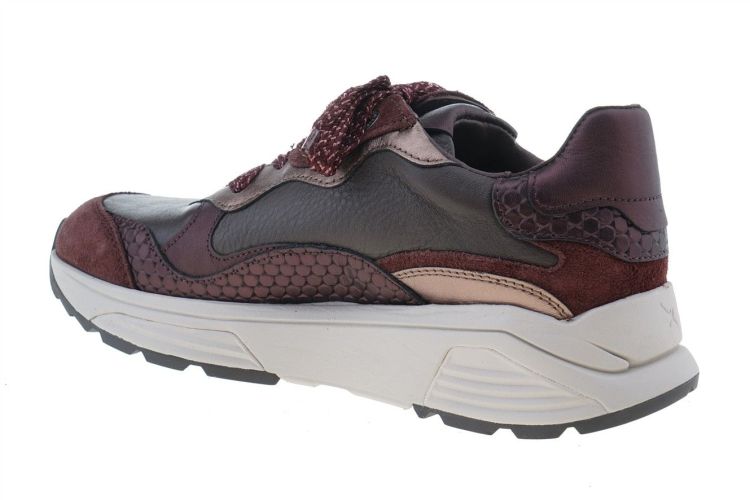 XSENSIBLE Rainbow (33011.3.747) - Schoenen Danneels (Brugge)