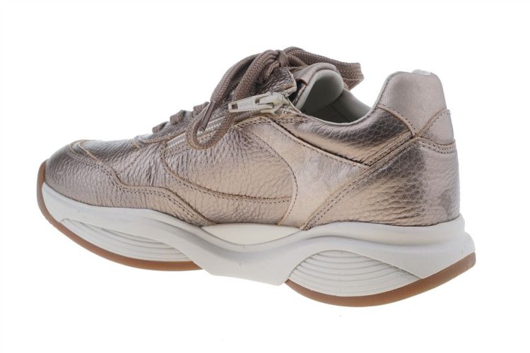 XSENSIBLE SWX27 (32009.4.490) - Schoenen Danneels (Brugge)